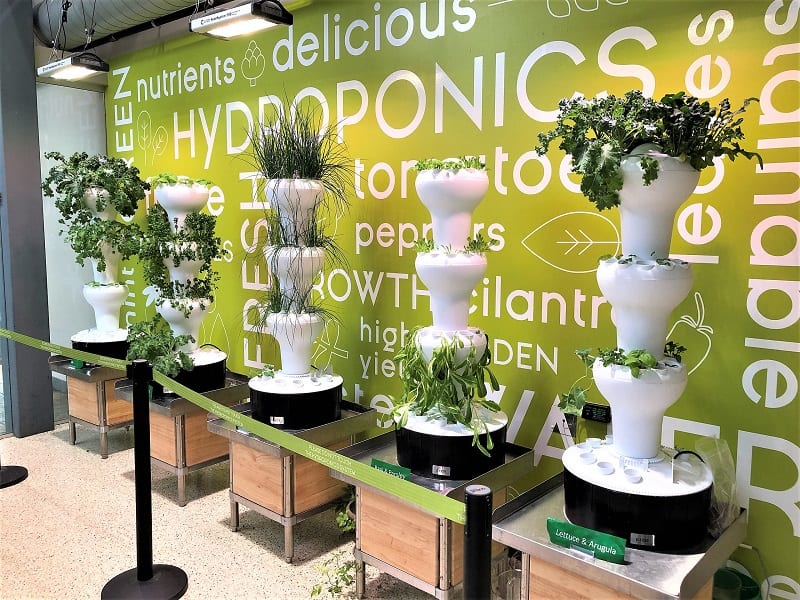 Many of the hydroponic systems on the market are aesthetically pleasing.