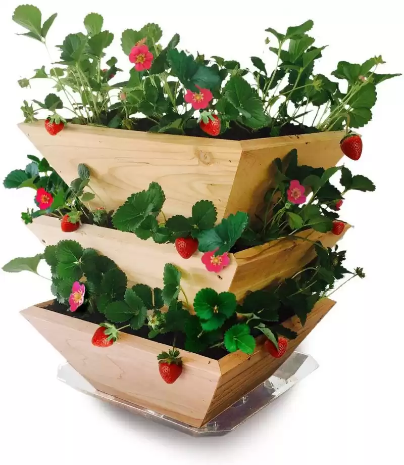 Strawberry Patch Tower Cedar Planter Box, Set of 3