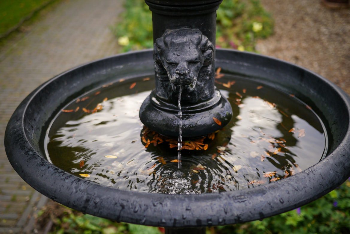 Adding a water feature to remodel your garden.