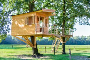 How To Build a Tree House In 9 Steps