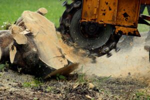 A Guide On Removing A Tree Stump On Your Own
