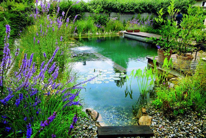 beautiful natural ponds