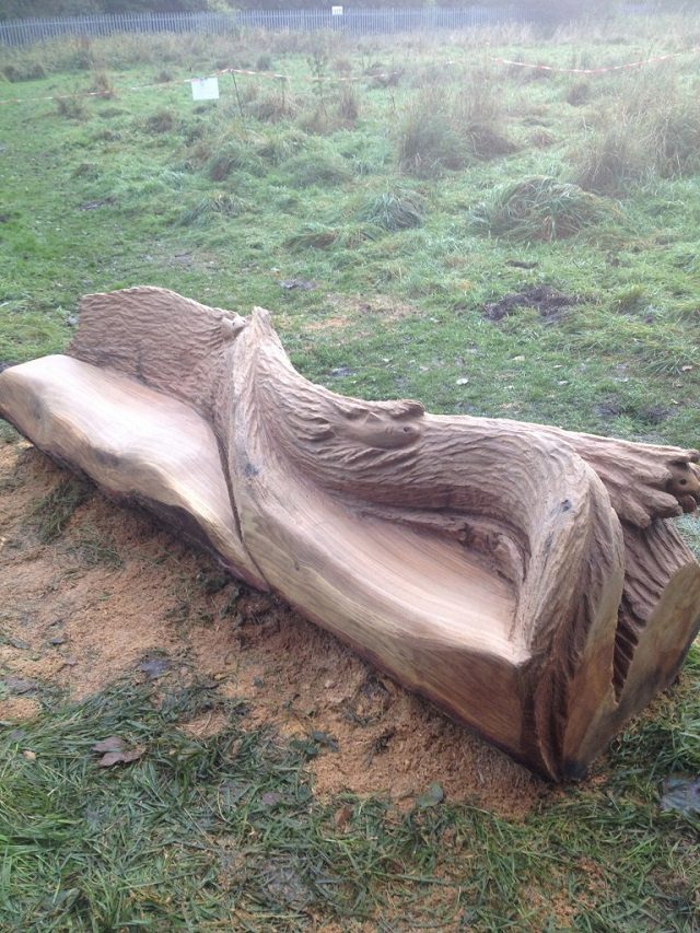 Unique Furniture Made From Tree Stumps And Logs The Owner