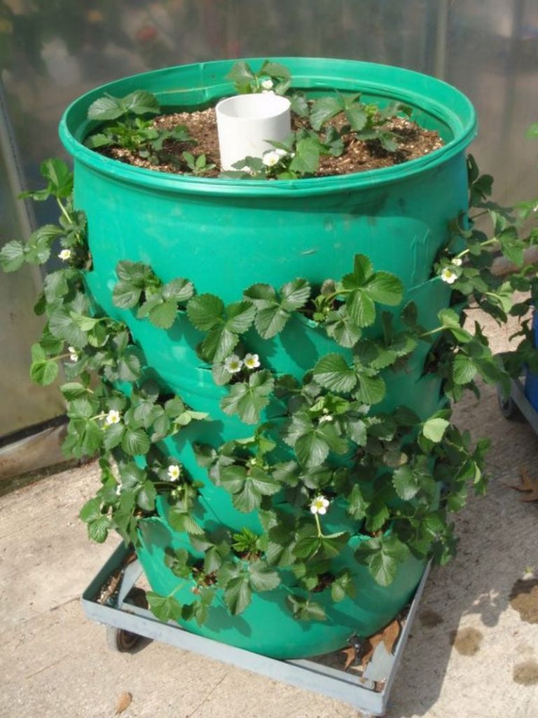 BarrelPlanter3 DIY Barrel Planter – 4 Easy Steps