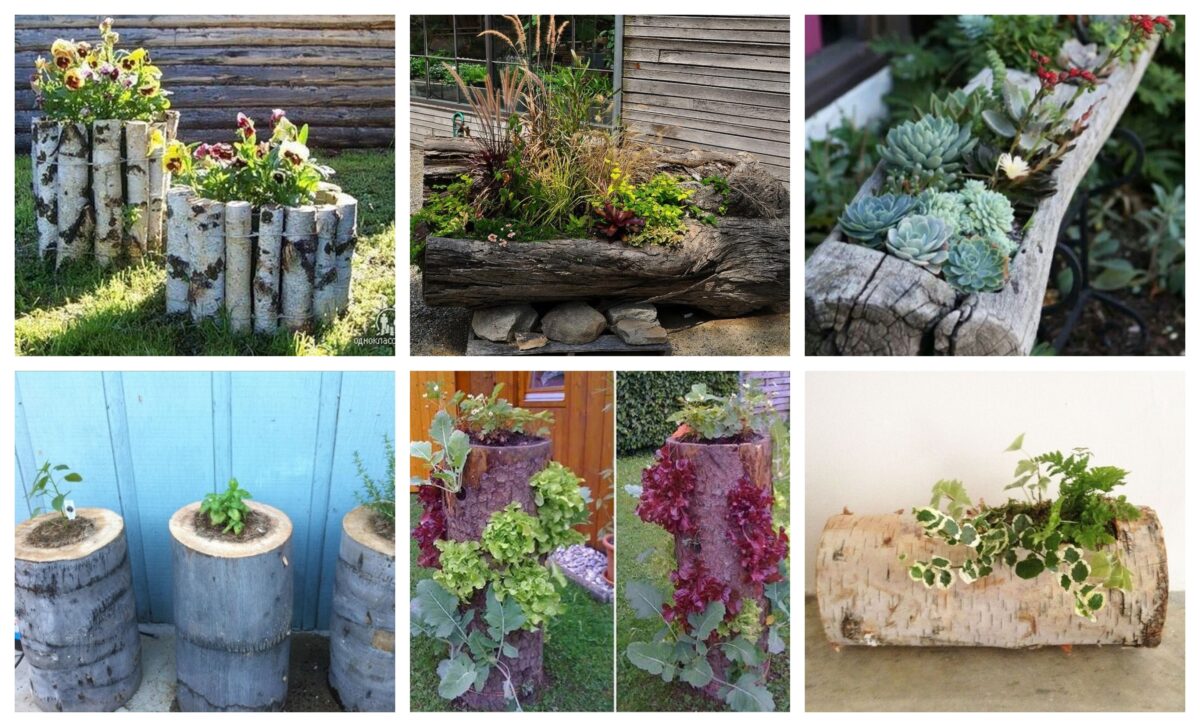 Creative Ways to Repurpose Tree Stumps - FeltMagnet