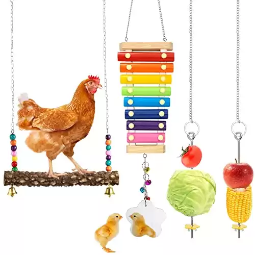 Chicken Toys for Coop