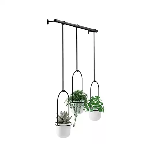 Hanging Planter for Window, Indoor Herb Garden, White/Black, Triple