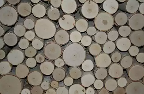 White Birch Fill-A-Space Logs