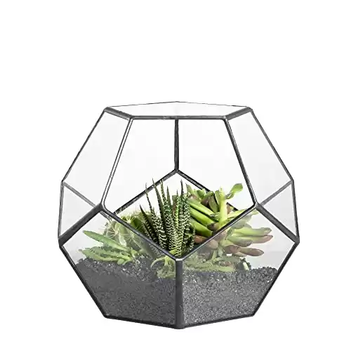 Modern Glass Geometric Terrarium for Succulent