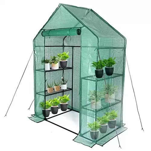 Walk-in Mini Greenhouse with 3 Tiers Shelves