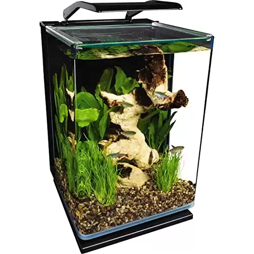 Glass LED Aquarium Kit, 5 Gallons, Hidden Filtration