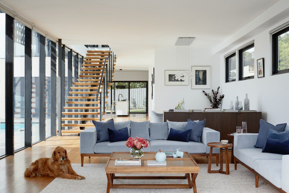 How to Design Your Home to Be Pet-Friendly