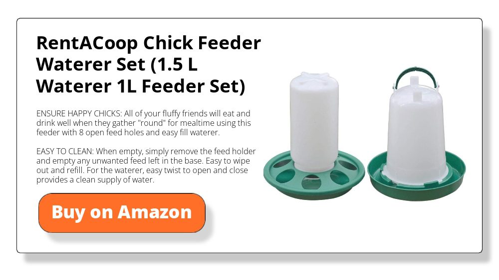 RentACoop Chick Feeder