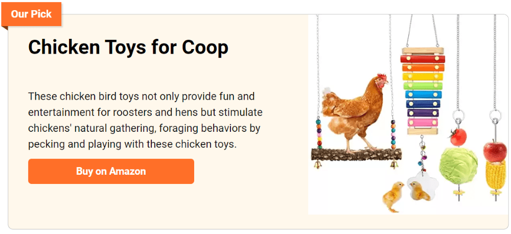 Chicken toys for coop