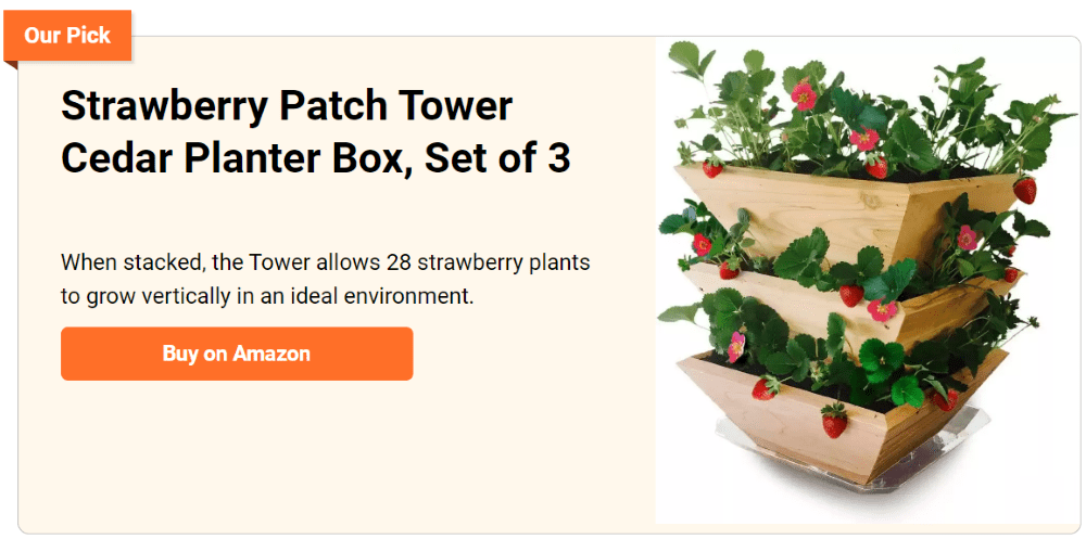 Build A Great Strawberry Pyramid Planter in 4 Steps!