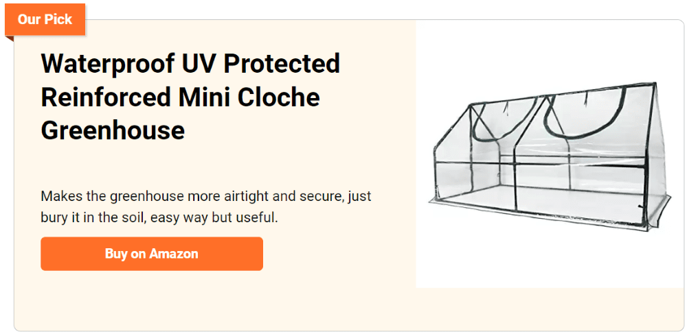 Mini cloche greenhouse