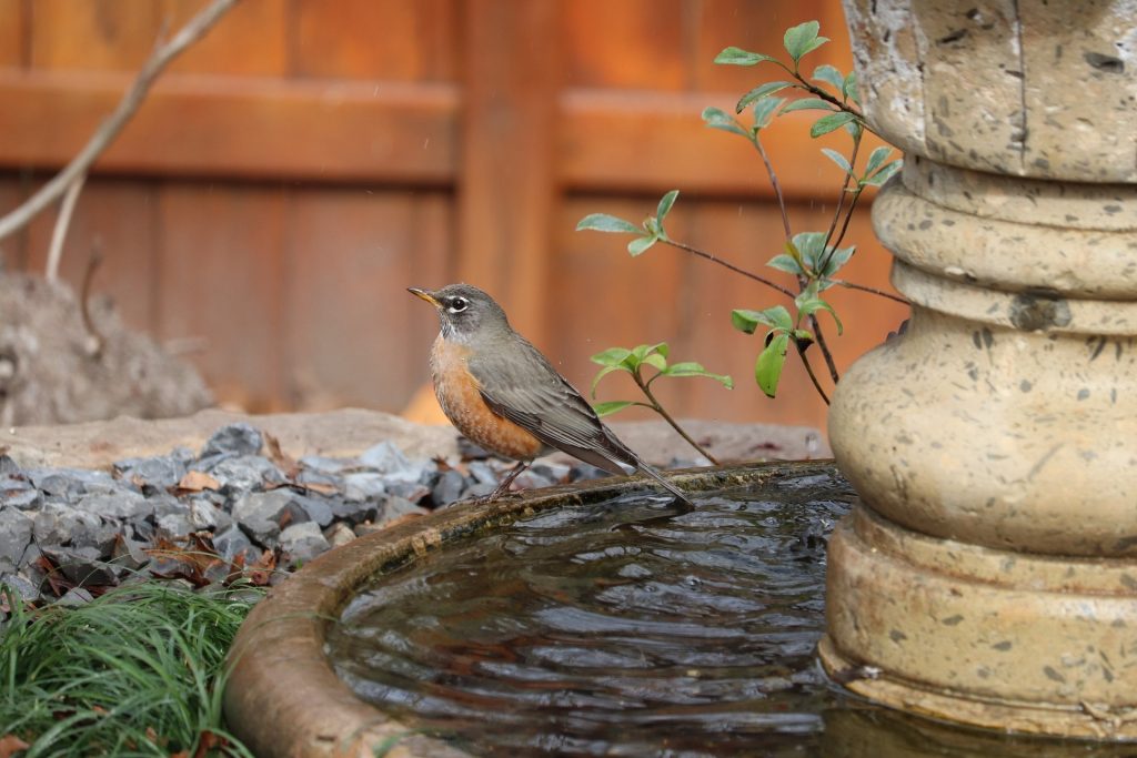 Spending time outdoors in a backyard retreat can promote better physical and mental health.