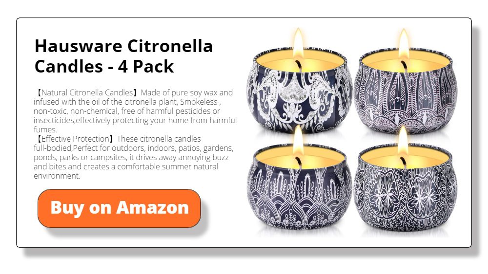 Hausware Citronella Candles - 4 Pack