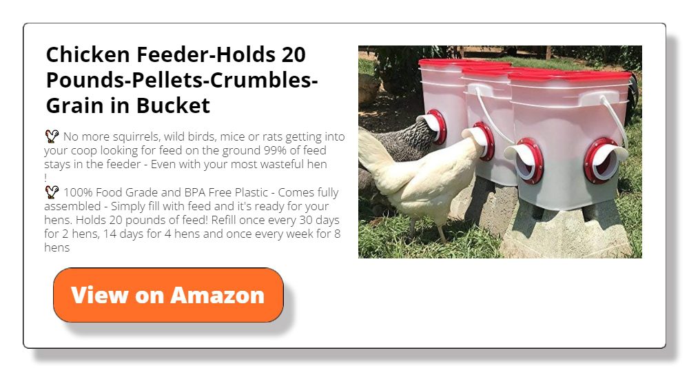 Chicken Feeder-Holds 20 Pounds-Pellets-Crumbles-Grain in Bucket