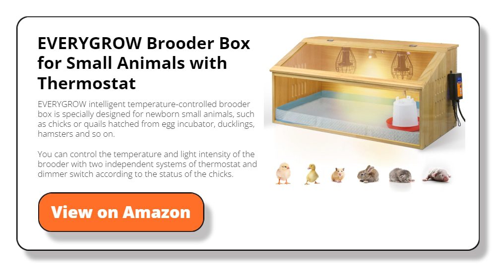 Brooder Box for Small Animals