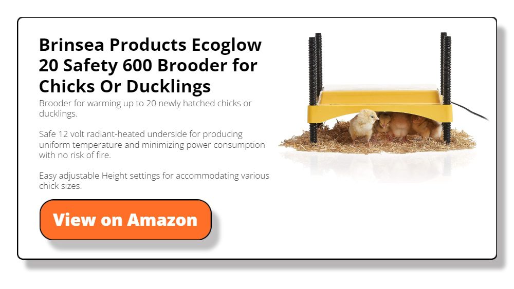 Brooder for Chicks Or Ducklings