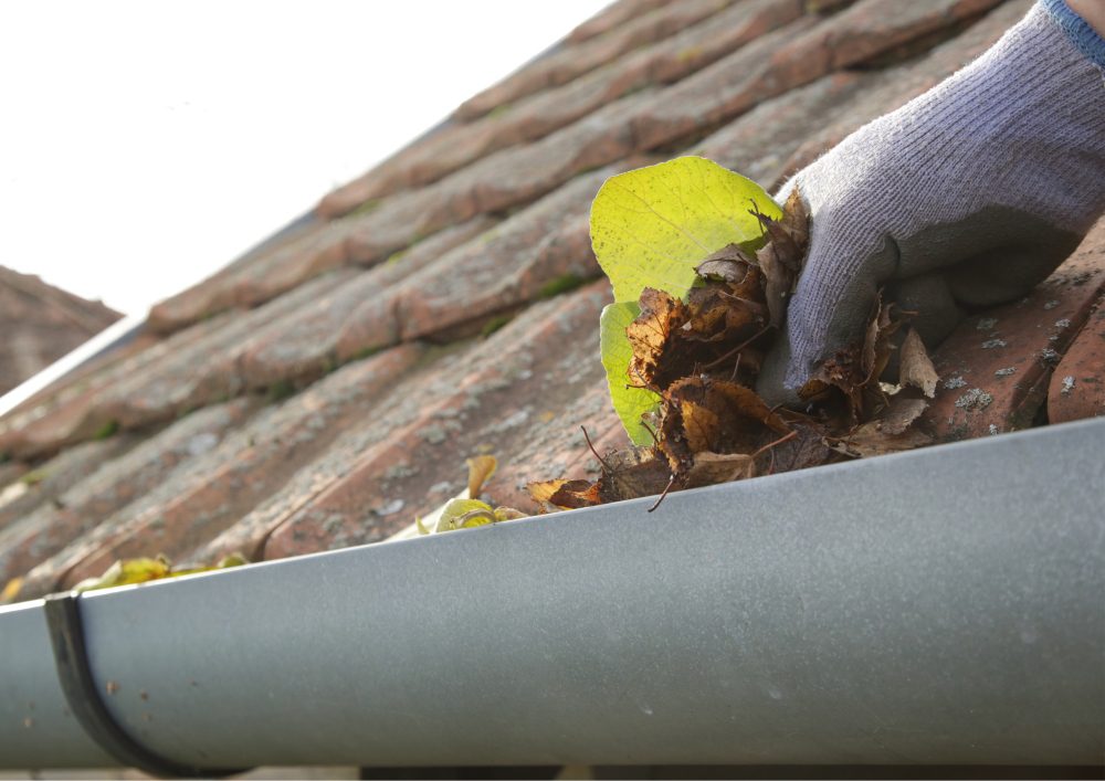 Gutter Maintenance