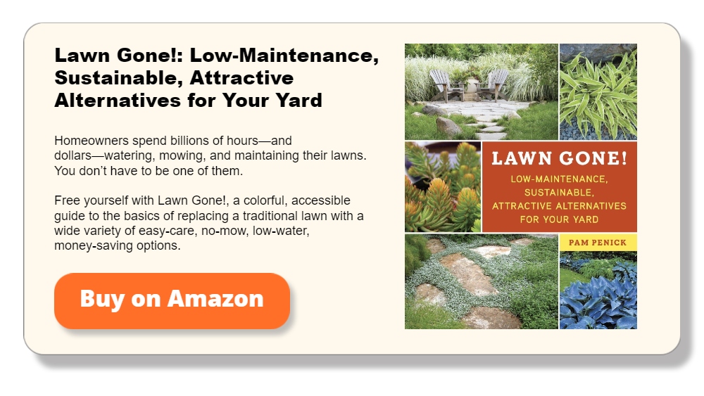 Lawn Gone!_ Low-Maintenance, Sustainable, Attractive Alternatives for Your Yard