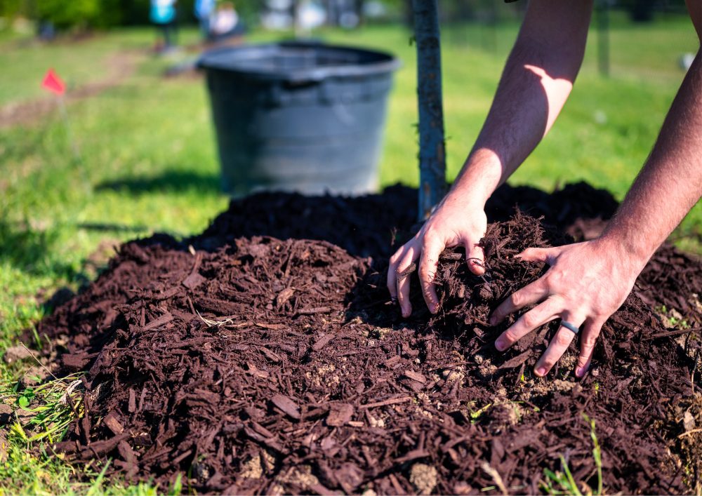 Mulching