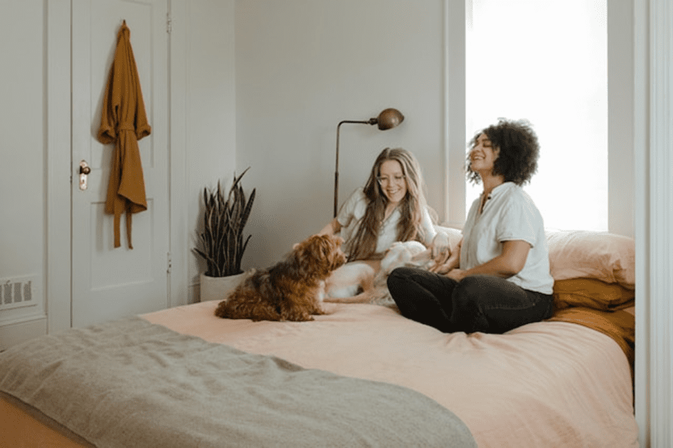 The following article can help you minimize the costs and create a practical home suitable for your pets.