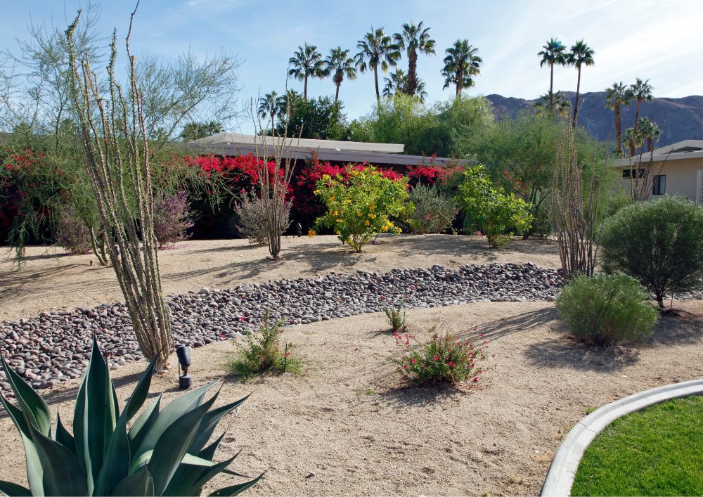 Xeriscaping