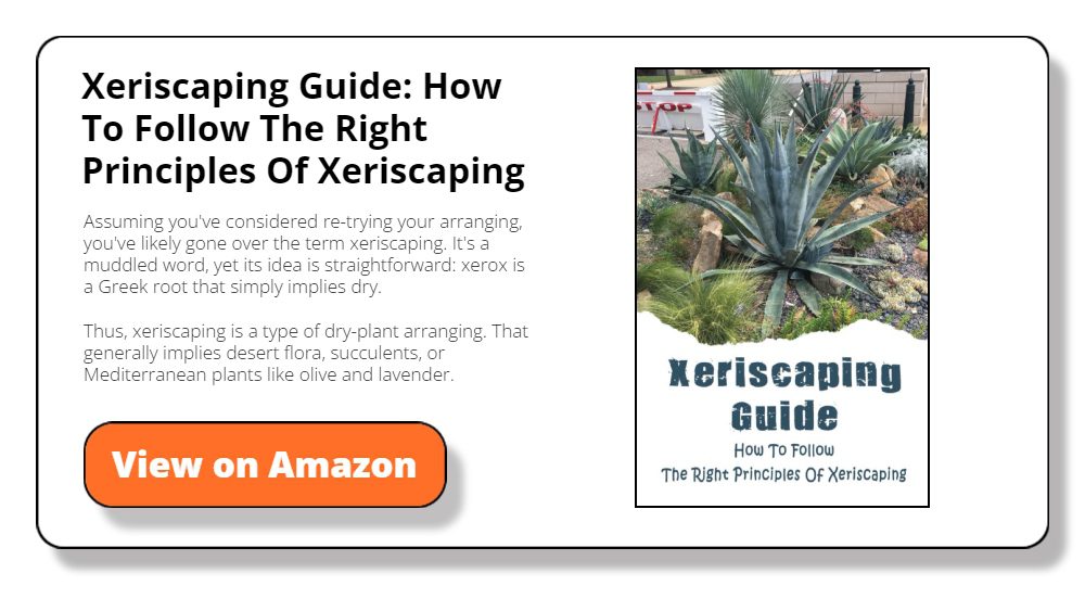 Xeriscaping Guide