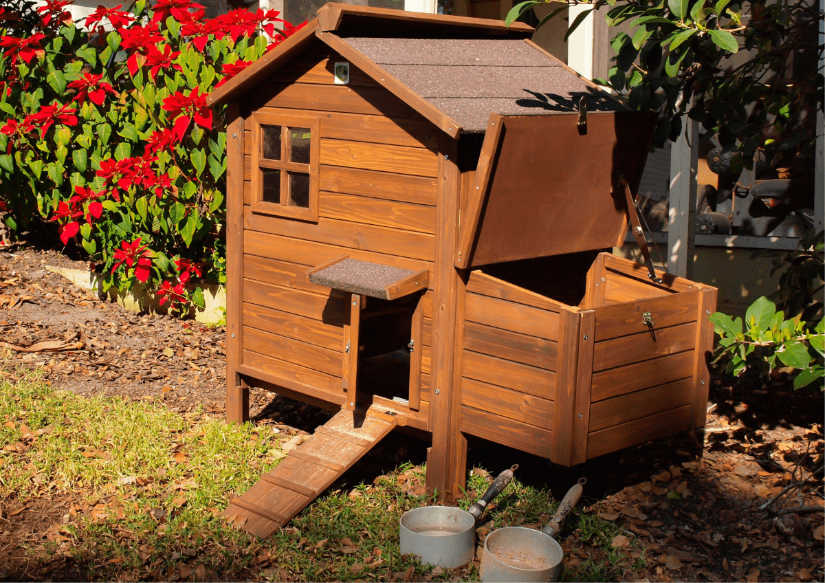 Keep chickens warm in a heated chicken coop.