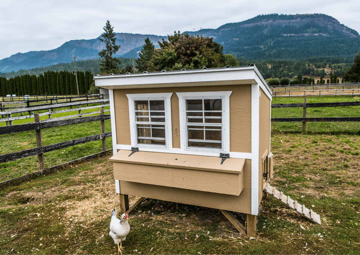 Chickens must expend more energy to stay warm in a cold environment. This can lead to weight loss and decreased energy reserves.