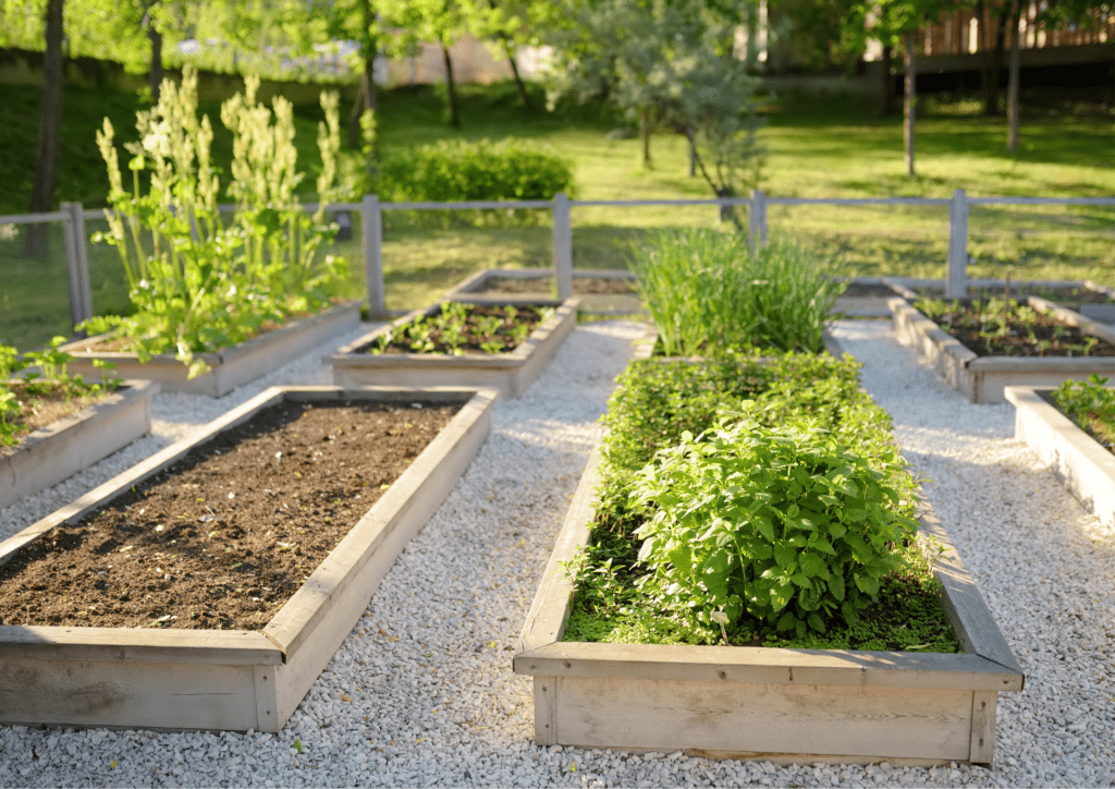  Investing time and effort in creating premium soil can lead to long-term benefits for your garden's health and productivity.