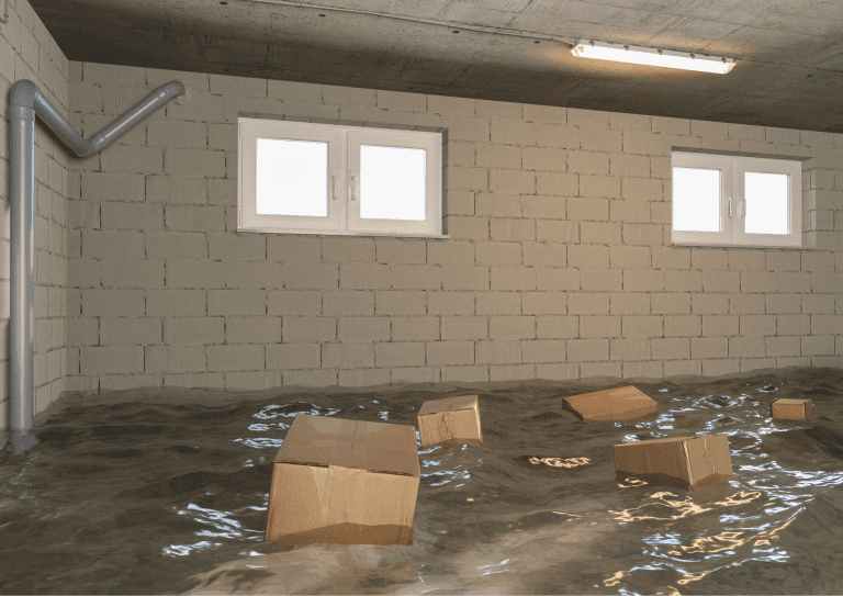 Flooded Basement