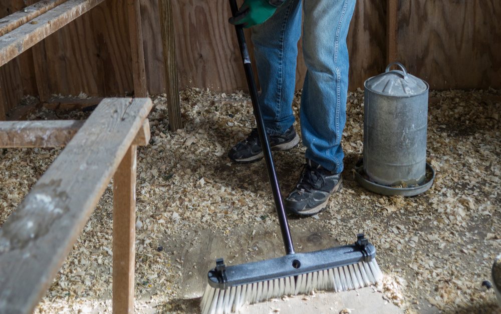 It helps prevent the spread of diseases, keeps pests at bay, and ensures a clean environment for your birds to thrive in. Disease Prevention: Regular cleaning minimizes the risk of diseases caused by bacteria, viruses, and parasites that thrive in dirty environments.