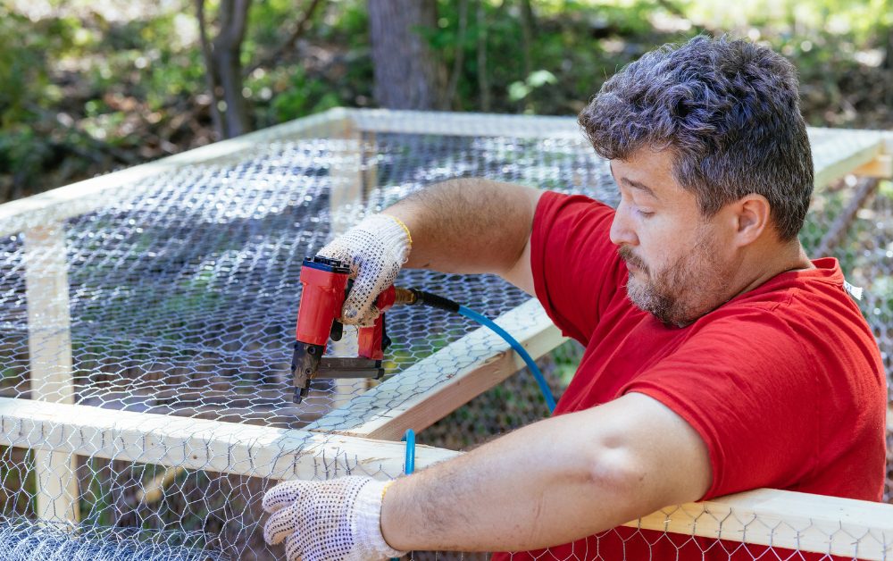 Clean coops reduce the risk of diseases by eliminating pathogens and harmful bacteria that can thrive in dirty environments.