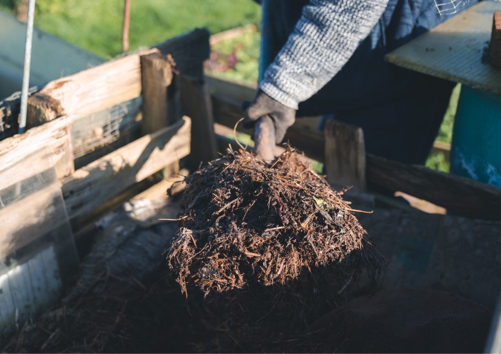 Compost Bin