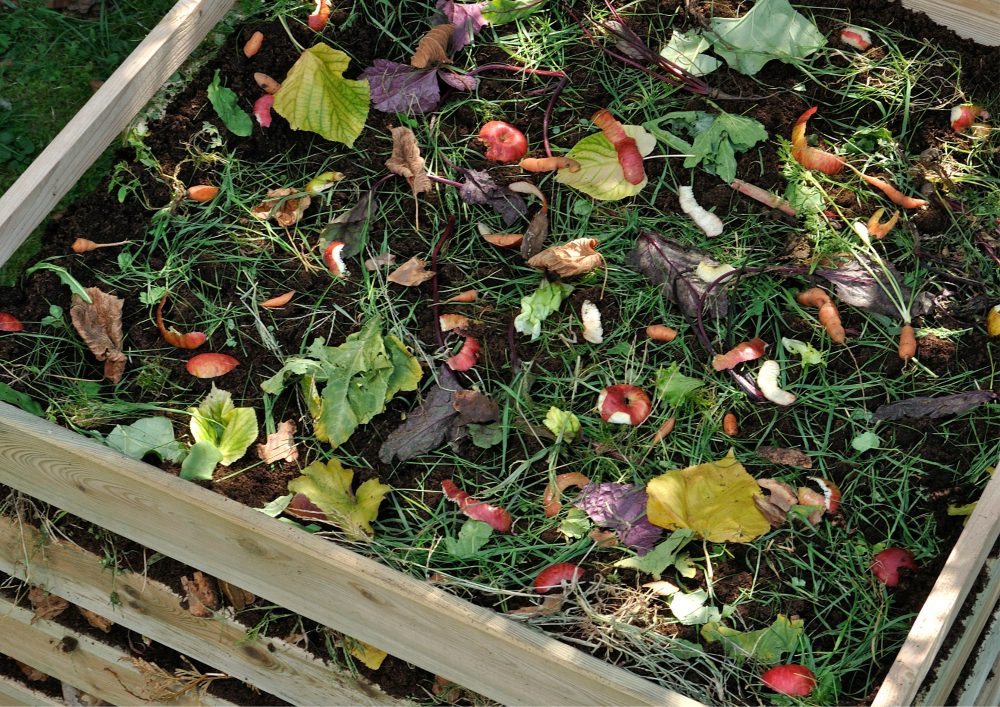 Constructing a DIY Compost Bin for Eco-Conscious Living