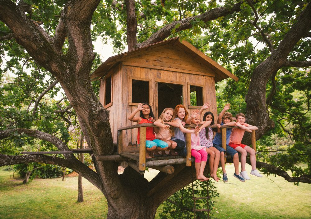 DIY Treehouse