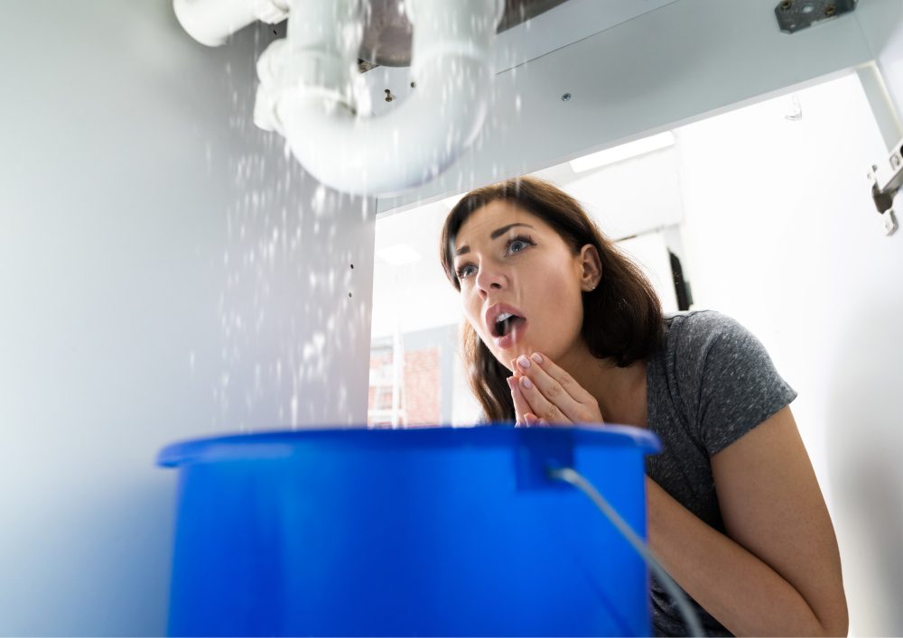 Causes Of A Clogged Toilet: Insight From Your Emergency Plumber