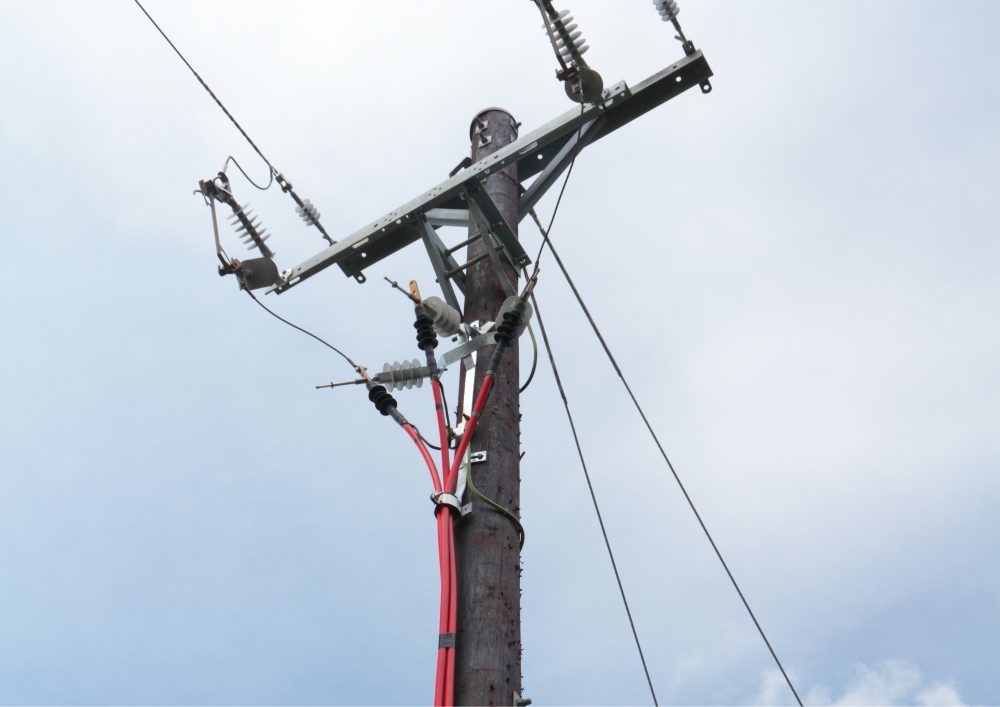 Take into account your budget before making a choice between underground and overhead power lines.