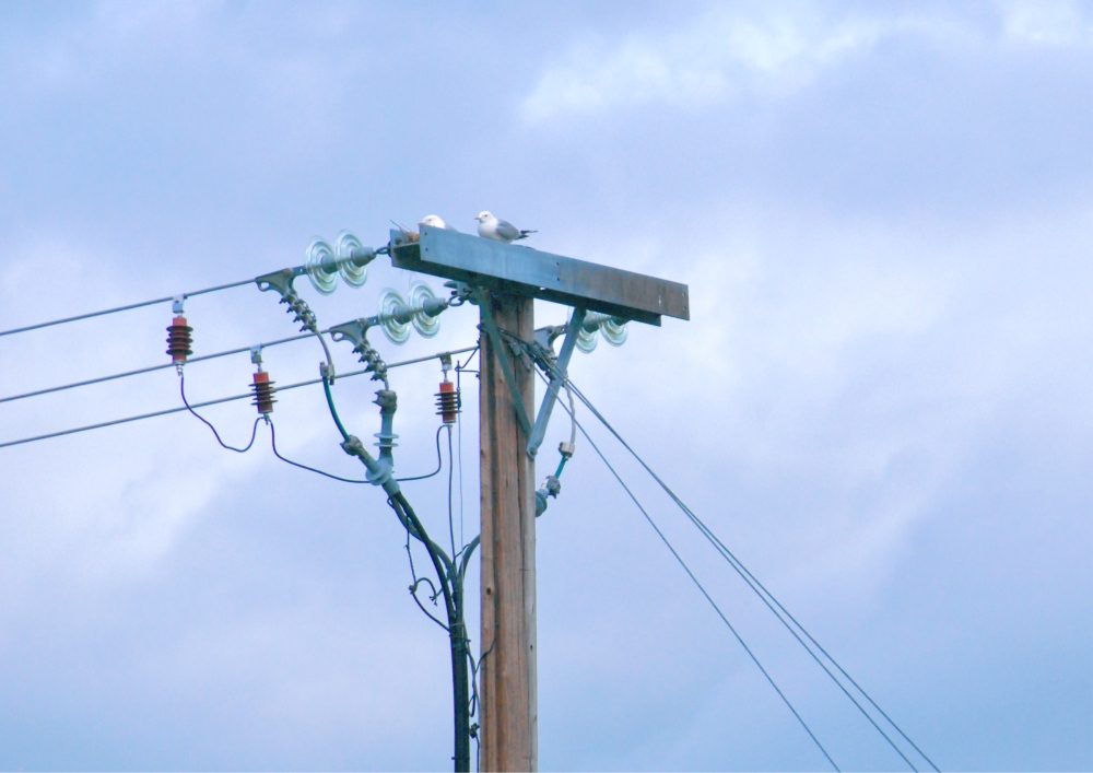 Underground vs. Overhead: Which Power Line Option Is Right For You?