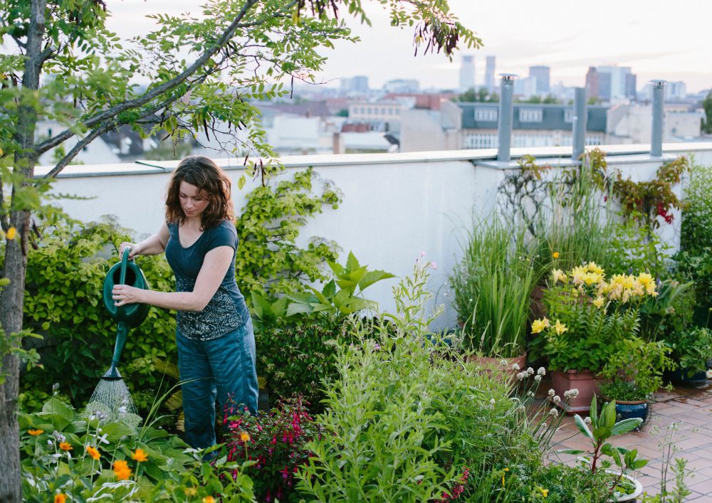 Rooftop Gardens