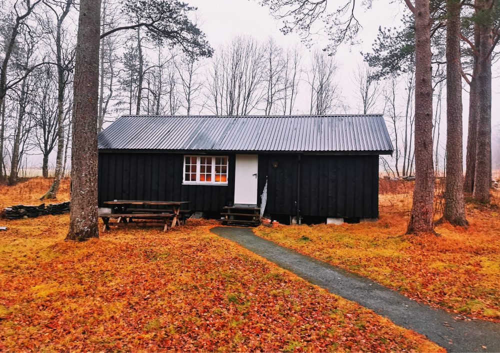 Container homes can be built relatively quickly due to the prefabricated nature of the containers.