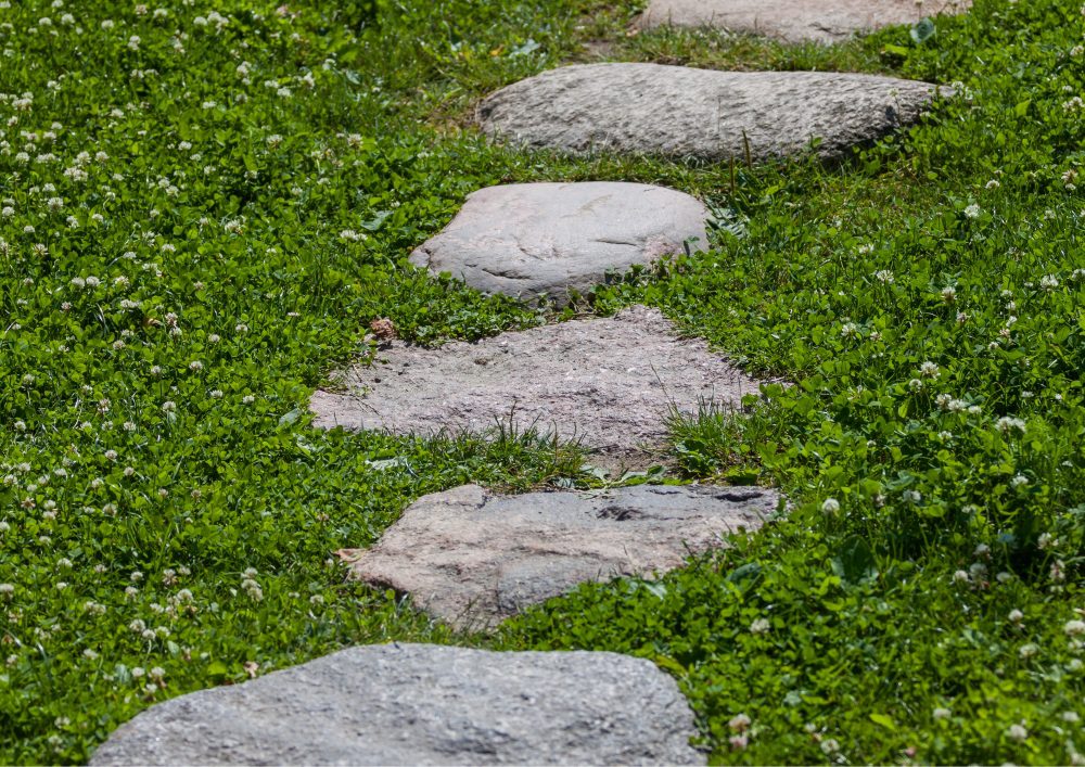 Using locally sourced stones for your pathway can reduce the environmental impact of your landscaping project.