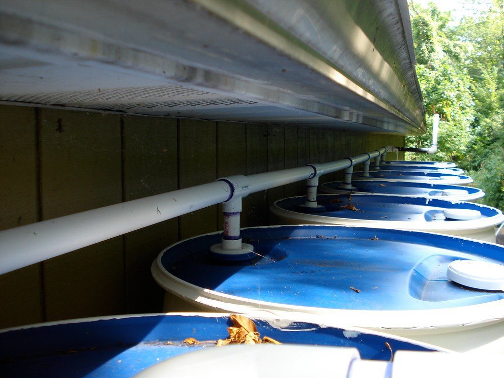 A set of barrels for rainwater harvesting systems.