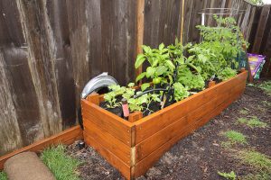 An image of a wooden raised garden bed for growing plants at home.