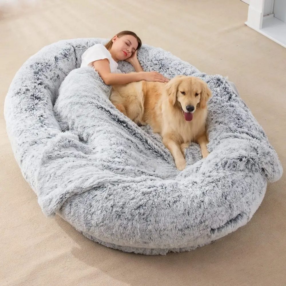 Build Your Comfortable Human Dog Bed in 10 Easy Steps