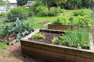 Raised garden beds project